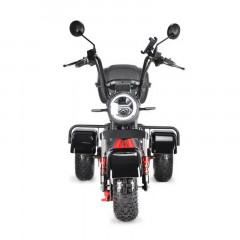 Электроскутер White Siberia TRIKE MINI 1500W