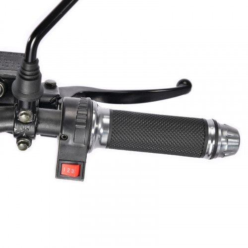 Электроскутер White Siberia TRIKE MINI 1500W в Тольятти