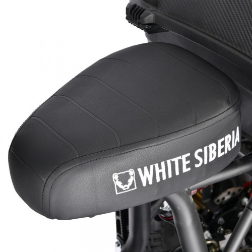 Электроскутер White Siberia TRIKE MINI 1500W в Тольятти