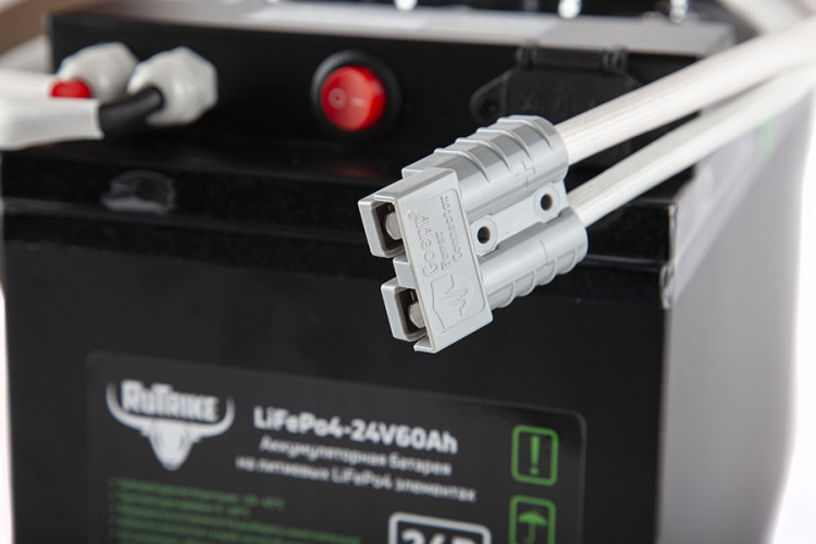 Тяговый железо-фосфатный аккумулятор RuTrike LiFePO4 60V48Ah (60А) в Тольятти