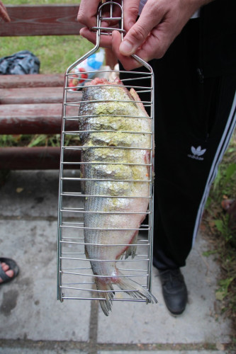 Решетка для рыбы в Тольятти