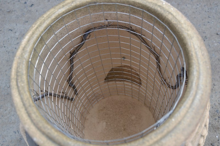 Тандыр Электрический Малый в Тольятти