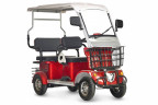 Пассажирский электротрицикл Rutrike Gelbert Hara в Тольятти