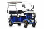 Пассажирский электротрицикл Rutrike Gelbert Hara в Тольятти