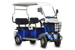 Пассажирский электротрицикл Rutrike Gelbert Hara Пассажирский электротрицикл Rutrike Gelbert Hara