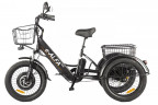 Электрофэтбайк Eltreco Green City e-ALFA Trike в Тольятти