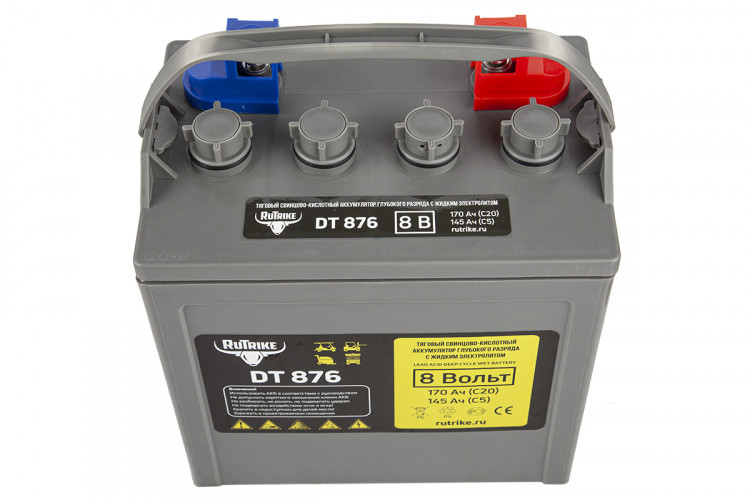 Тяговый аккумулятор RuTrike WET DT876 (T-875) 8V120A/H C3 в Тольятти