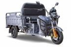 Грузовой электрический трицикл RuTrike Гибрид 1500 в Тольятти