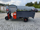 Грузовой электрический трицикл Pаntеrа Гидрaвлика 75V1500W в Тольятти